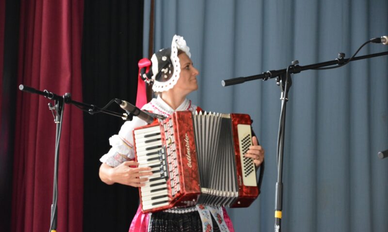 Makovická struna