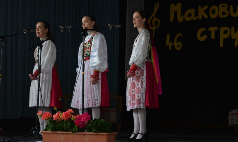 Makovická struna
