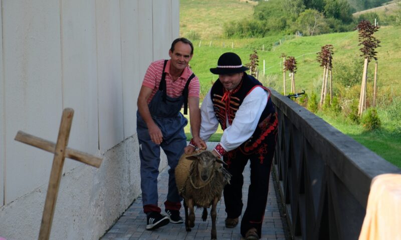 Lackovský košík 2019