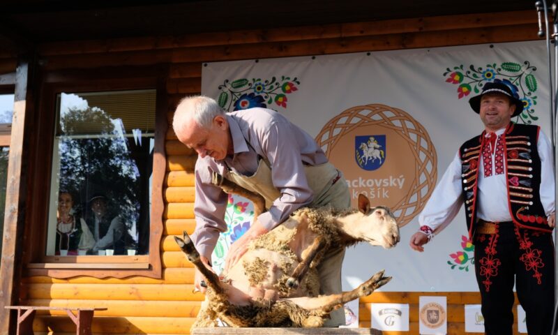 Lackovský košík 2019